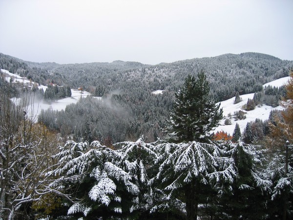 3 Nov 2009 - view from my office