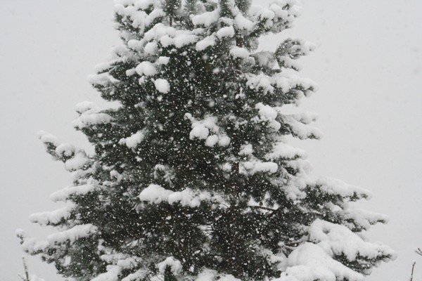 18/3/12, snowing hard in Les Gets!
