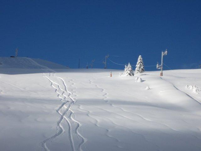 6/12/12, more fresh tracks!