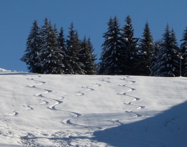 27/11/13, Fresh tracks into the Les Gets bowl today.