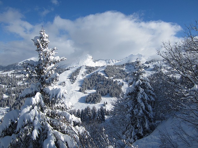 24/1/14, Beautiful conditions in Les Gets.