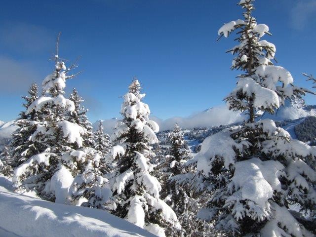 23/2/14, more stunning conditions in Les Gets today!
