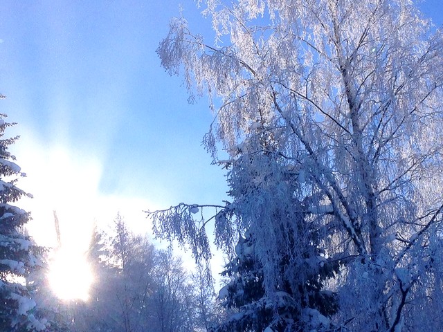 21-1-16, perfect conditions - great snow, blue skies and empty slopes!
