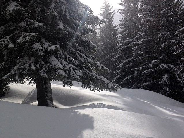 18-1-18, the snow looking great in the trees.