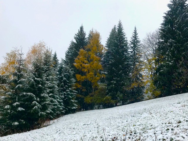 27-10-18, arrival of Winter 2018/19!