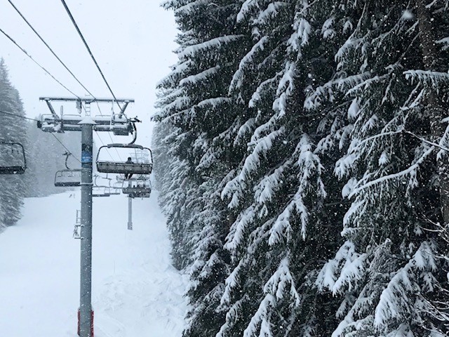29-1-20, lots of lovely snow today!
