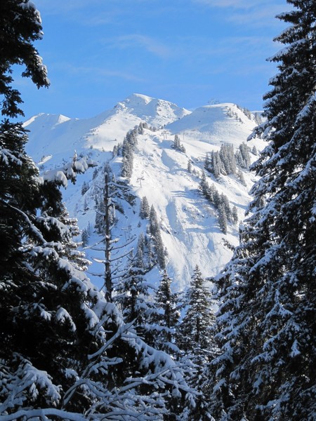 3/1/12, Chamossiere