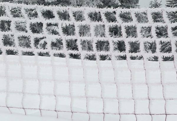 29/1/12, ice crystals on netting in Les Gets.
