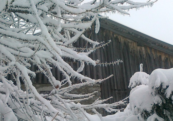 29/1/12, more amazing ice crystals!