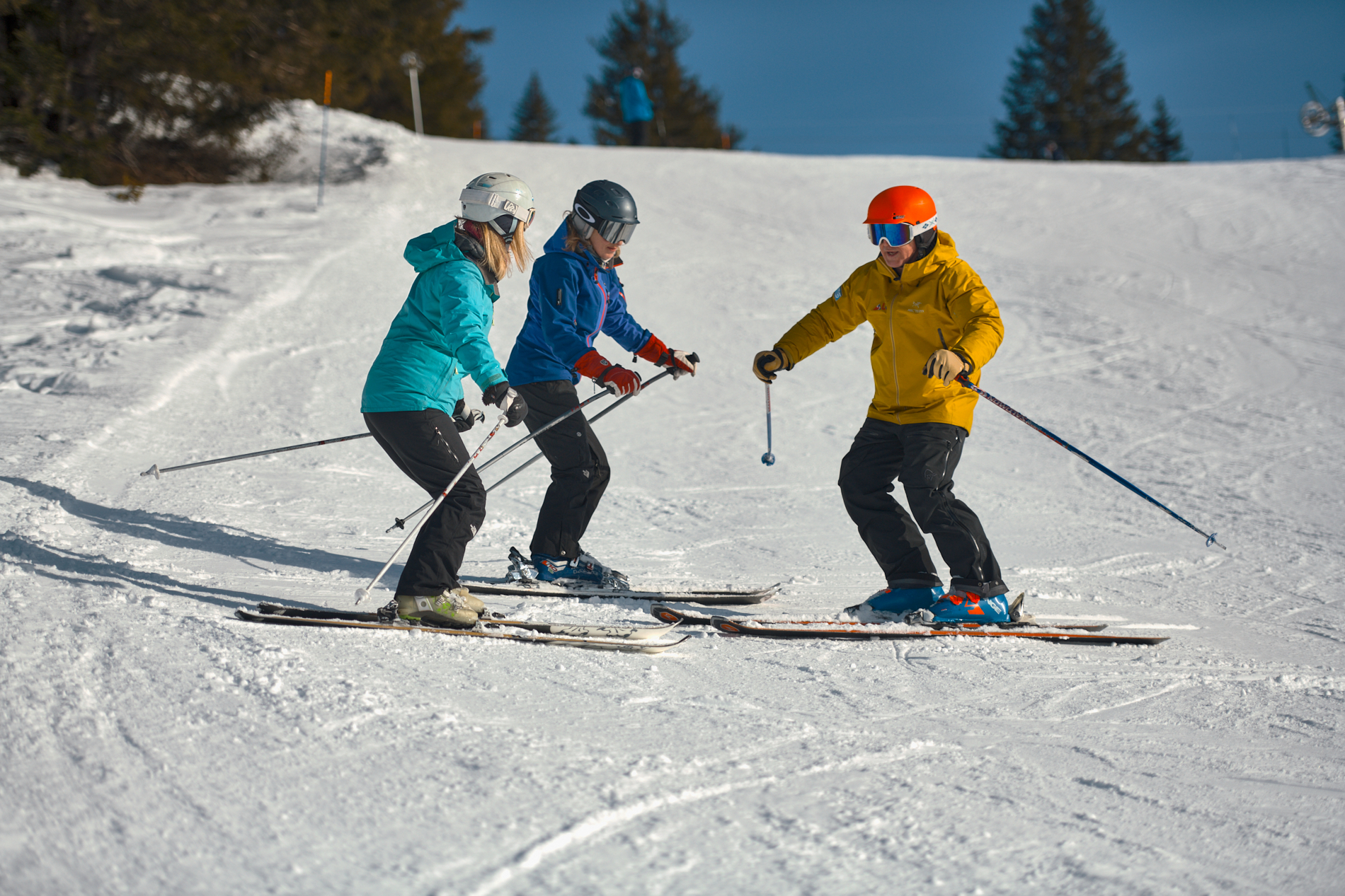 Private ski lessons image